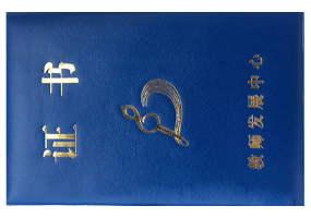 云南民族艺术传承葫芦丝专业培训班